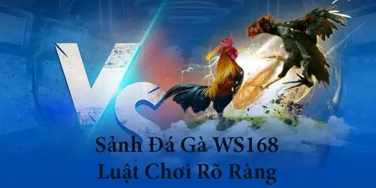 Cách Chơi Đá Gà WS168 Tại FB88 Đơn Giản Được Yêu Thích Năm Nay 2 Cách Chơi Đá Gà WS168 Tại FB88 Đơn Giản Được Yêu Thích Năm Nay
