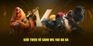 Cách Chơi Đá Gà WS168 Tại FB88 Đơn Giản Được Yêu Thích Năm Nay 1 Cách Chơi Đá Gà WS168 Tại FB88 Đơn Giản Được Yêu Thích Năm Nay