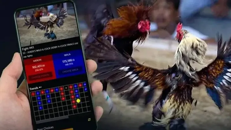 Đá Gà FB88 Kịch Tính Từng Giây Rinh Thưởng Khủng Đến 99 Triệu 1 Đá Gà FB88 Kịch Tính Từng Giây Rinh Thưởng Khủng Đến 99 Triệu